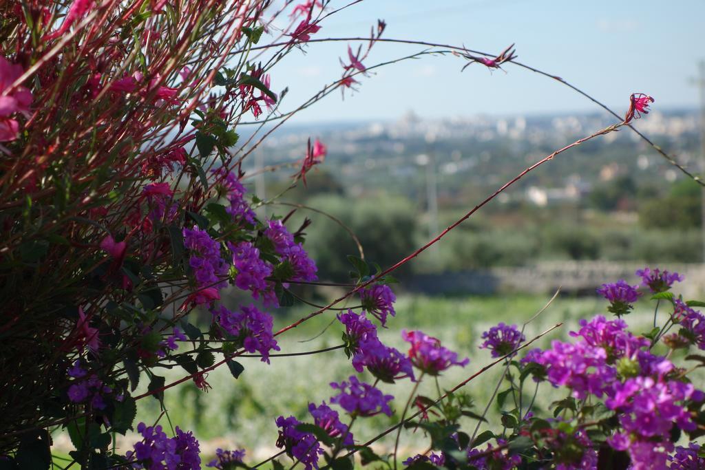 Masseria Serralta Locorotondo Dış mekan fotoğraf